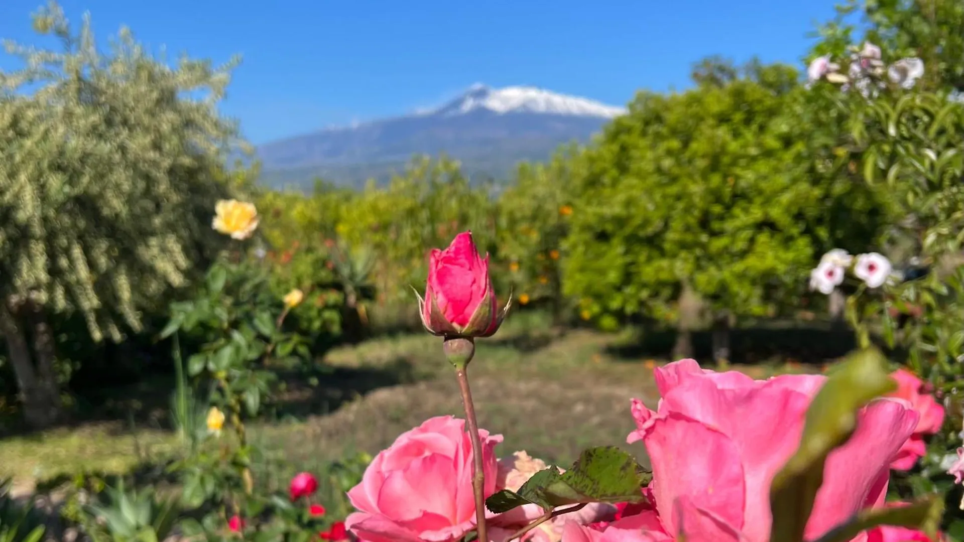 Villa Bellalimone à Calatabiano 0*,  Italie