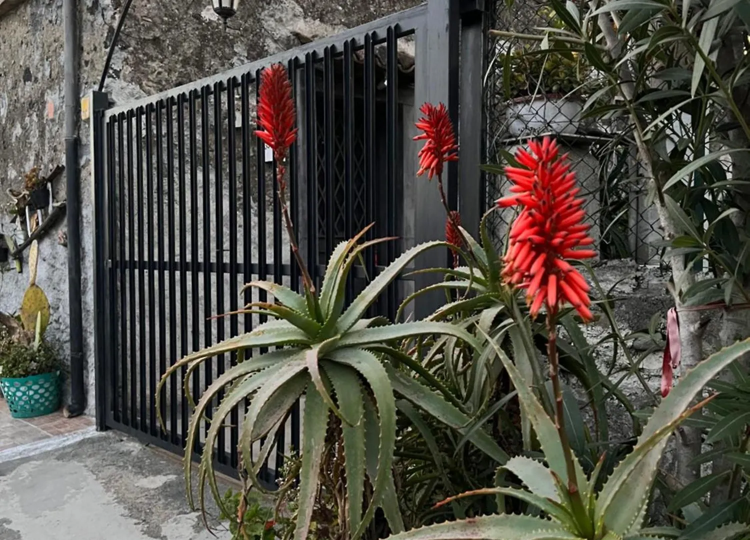Chalet Villa Bellalimone à Calatabiano Italie