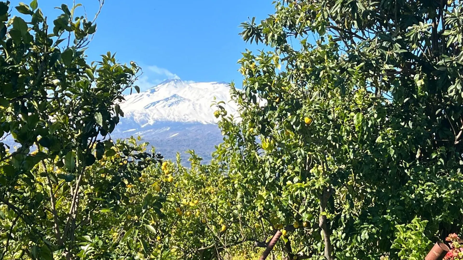 Villa Bellalimone à Calatabiano Chalet