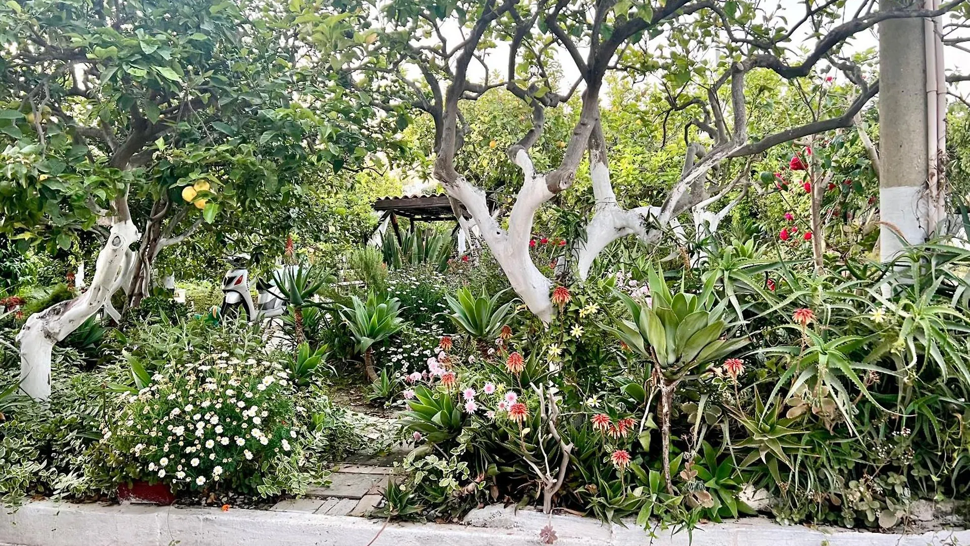 Villa Bellalimone à Calatabiano Italie
