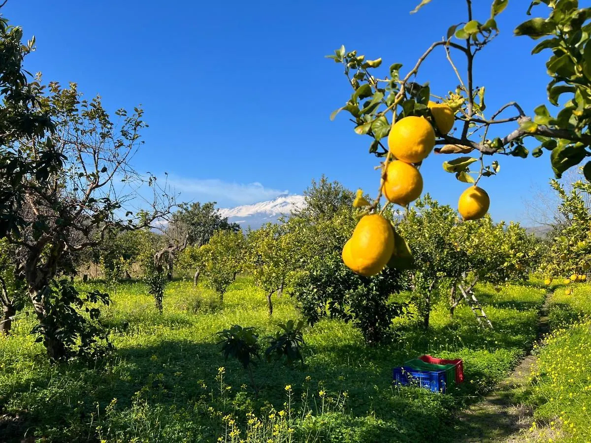 Vila Bellalimone Calatabiano Horská chata