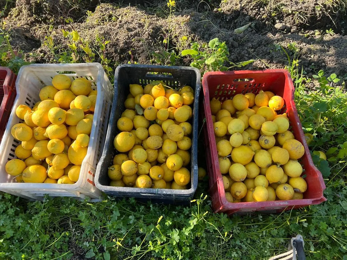 Vila Bellalimone Calatabiano Itálie