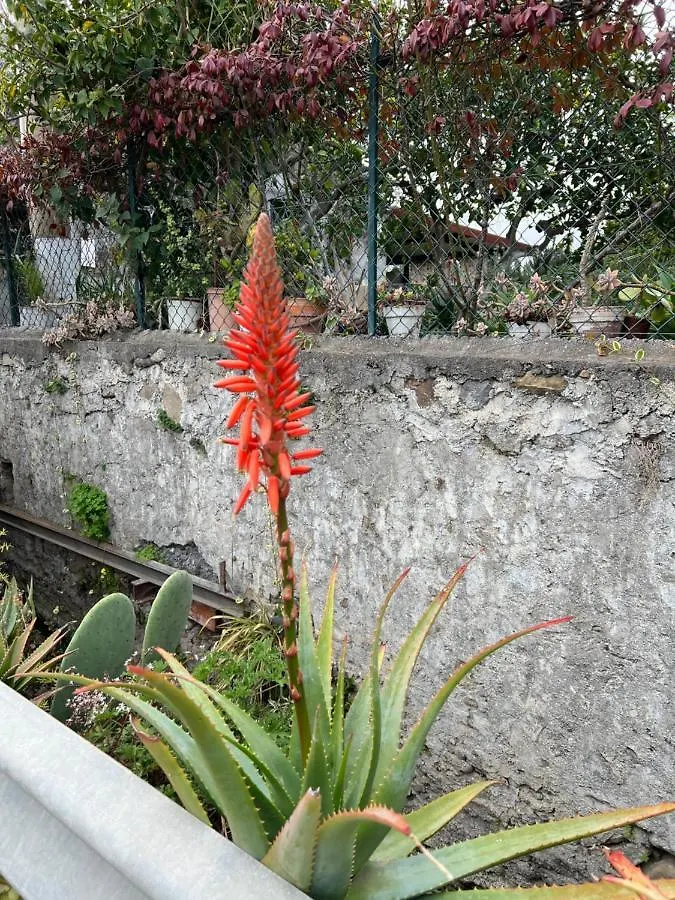 Vila Bellalimone Calatabiano