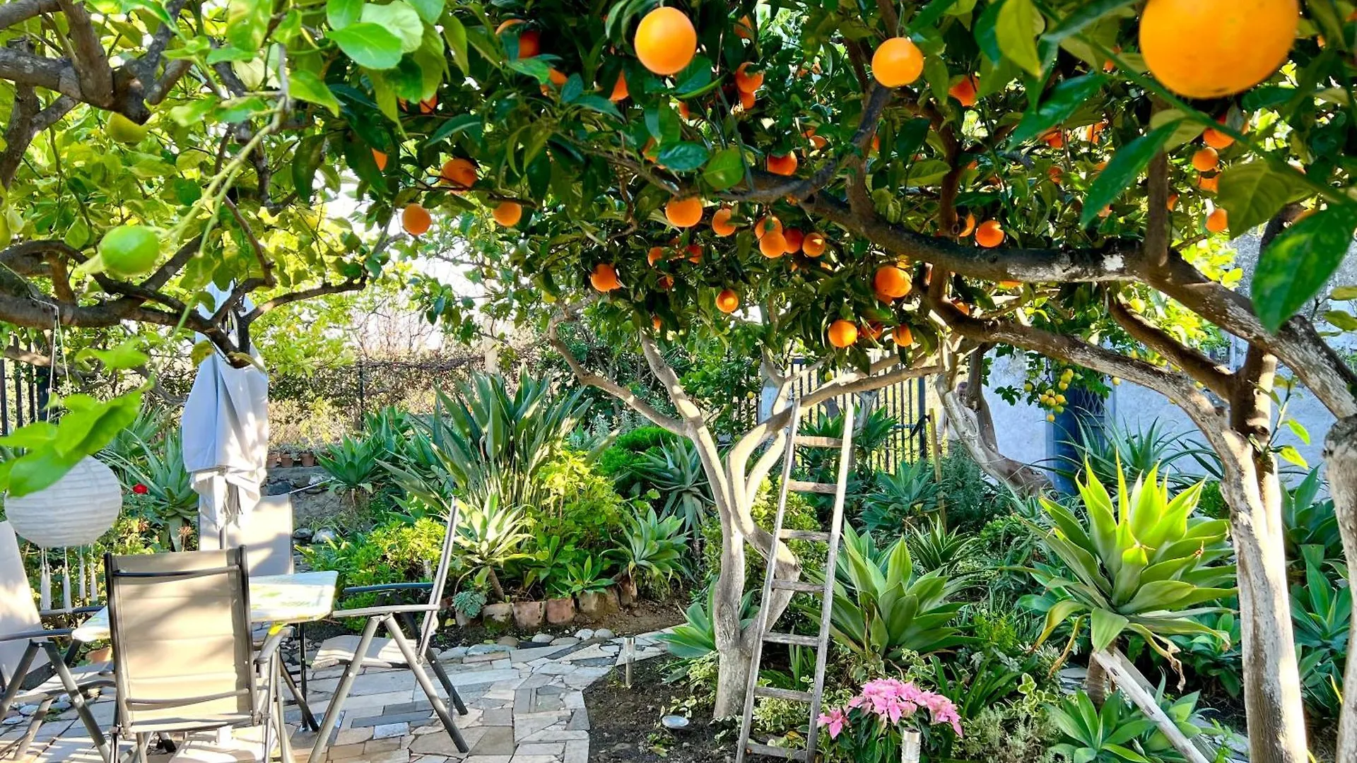Vila Bellalimone Calatabiano